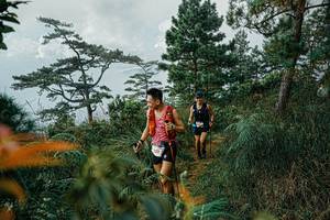 BIB: 
                            <button type="button" onclick="openModal(25260783)" class="btn btn-primary btn-sm float-right btn-popup" data-toggle="modal" data-target=".modal-high-quality">
                        <i class="fas fa-shopping-cart"></i> Add to Cart
                    </button>
                                            <button type="button" onclick="isThisMe(25260783, true)" class="btn btn-success btn-sm float-right btn-popup btn-isme hidden" data-toggle="tooltip" data-placement="bottom" title="นี่คือรูปของคุณใช่ไหม คลิกที่นี่เพื่อเอาเข้าอัลบั้ม">
                        <i class="fas fa-plus"></i> Add to album
                    </button>
                    <button type="button" onclick="isThisMe(25260783, false)" class="btn btn-warning btn-sm float-right btn-popup btn-isnotme hidden">
                        <i class="fas fa-ban"></i> Remove from album
                    </button>